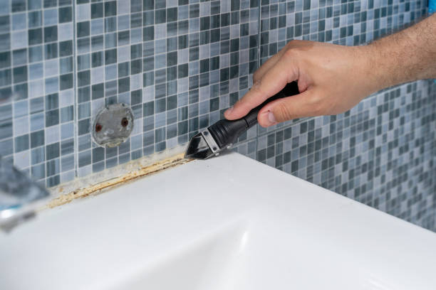 Best Black Mold Removal  in Fairfield University, CT
